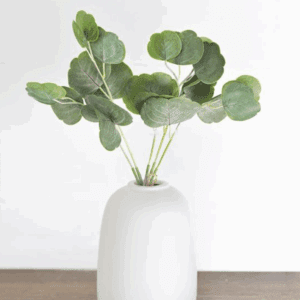 Green leafy plant in a white vase on a wooden surface.